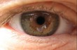 Oleg Komogortsev, trợ lý giáo sư khoa khoa học máy tính tại Đại học bang Texas ở San Marcos, Mỹ đang nghiên cứu những chuyển động khác nhau của mắt và cho rằng có thể tìm ra cách kết hợp với công nghệ quét mắt phân tích các mô hình trong mống mắt để tạo ra loại mật khẩu hacker phải buông tay. 